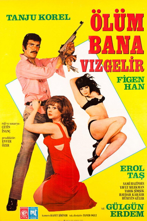 Movie poster for Ölüm Bana Vız Gelir (1971)