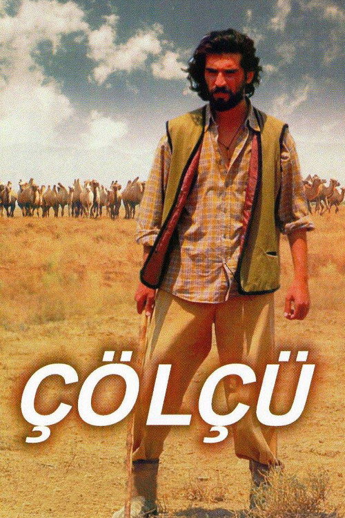 Movie poster for Steppe Man (2012)