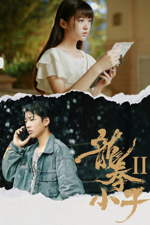 Movie poster for 龙拳小子2 (2024)
