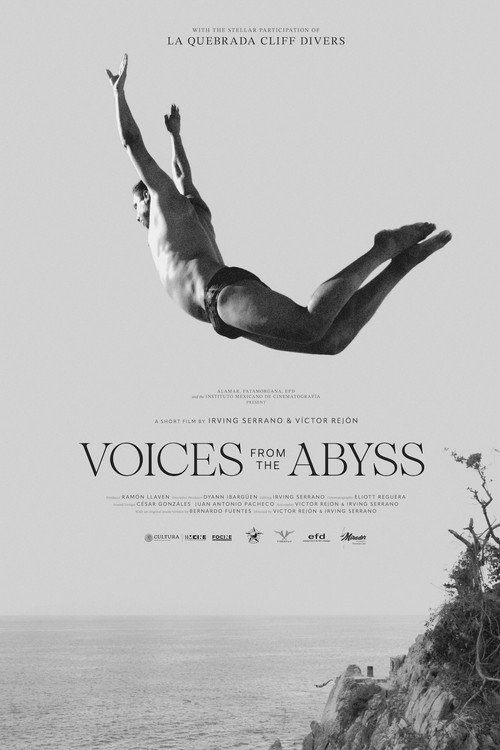 Movie poster for Voices from the Abyss (2025)