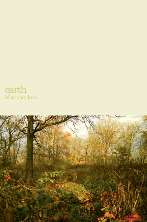 Movie poster for Earth: Within the Drone (2007)
