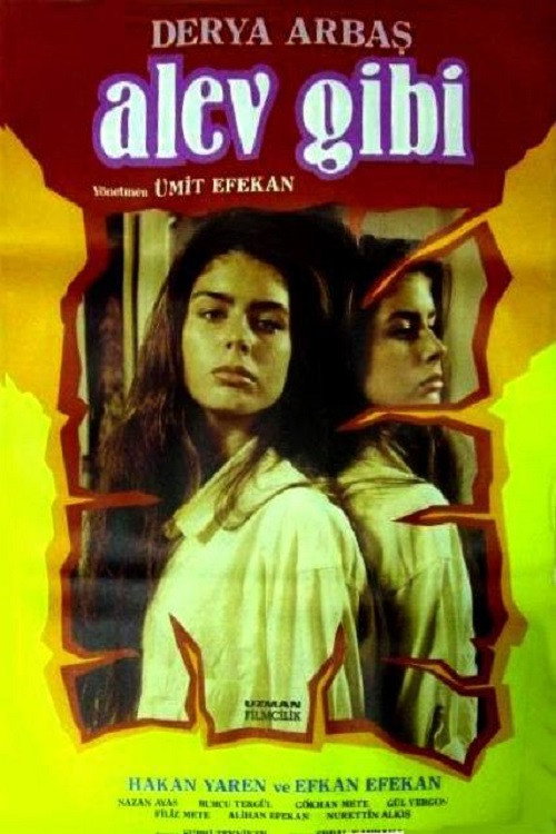 Movie poster for Alev Gibi (1986)