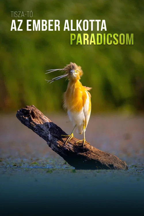 Movie poster for A Man-Made Paradise (2023)