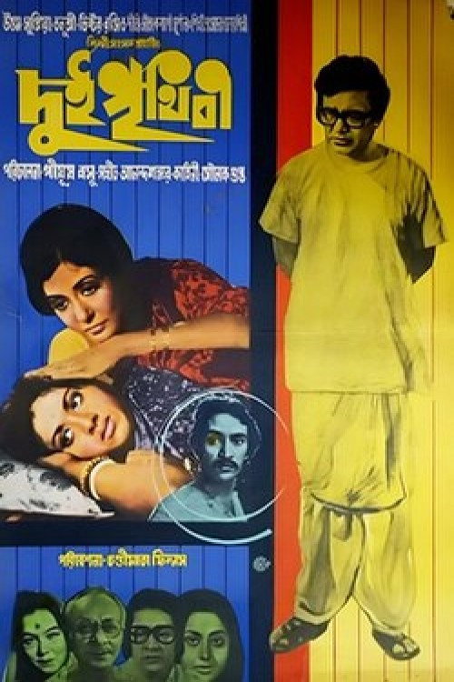 Movie poster for Two Worlds (1980)