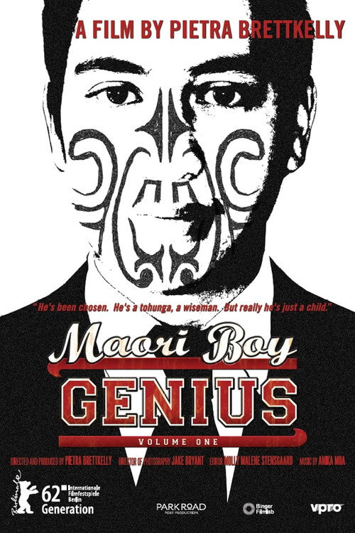 Movie poster for Maori Boy Genius (2011)