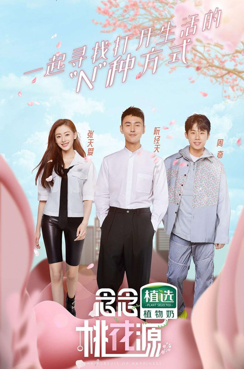 The Pursuit of Happiness poster