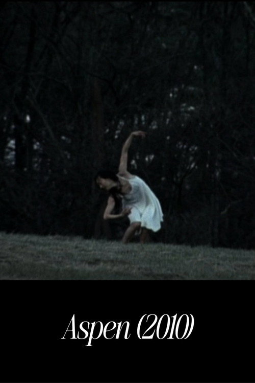 Movie poster for Aspen (2010)
