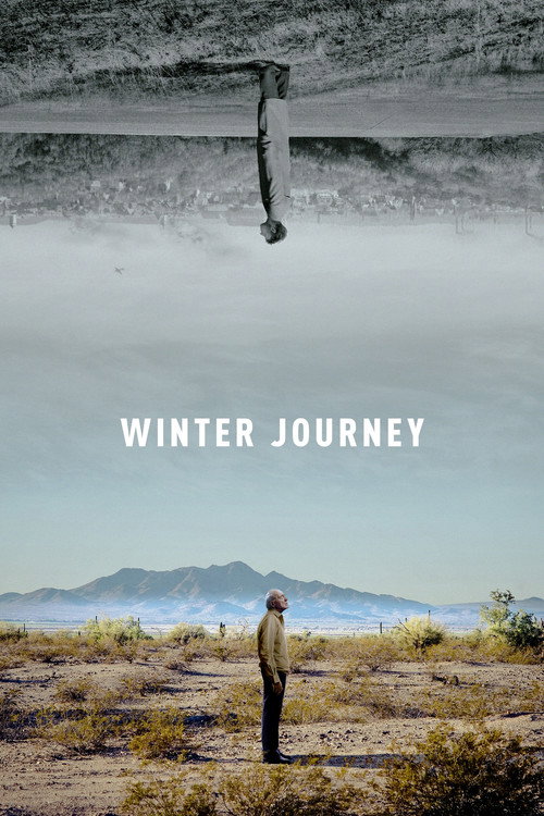 Movie poster for Winter Journey (2019)