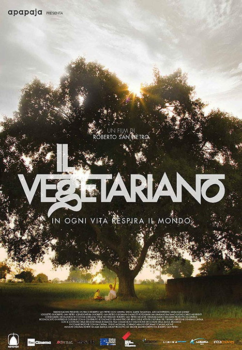 Movie poster for The Vegetarian (2019)
