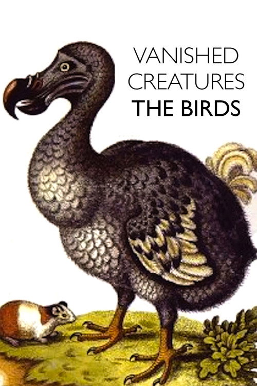 Movie poster for Vanished Creatures: The Birds (2010)