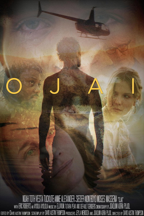 Movie poster for Ojai (2025)