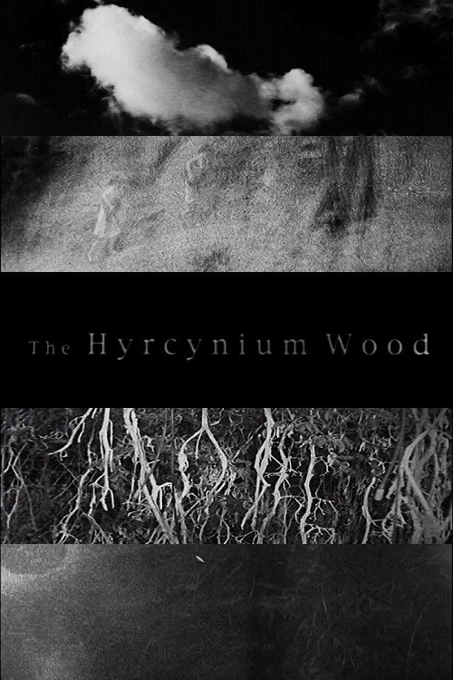 Movie poster for The Hyrcynium Wood (2005)