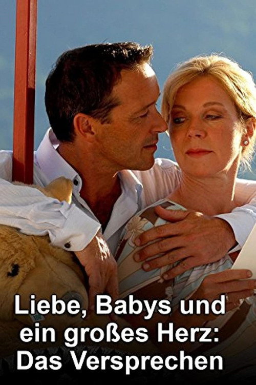 Movie poster for Liebe, Babys und ein großes Herz – Das Versprechen (2008)