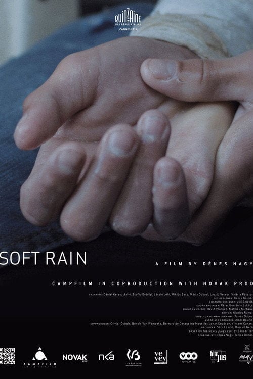 Movie poster for Soft Rain (2013)