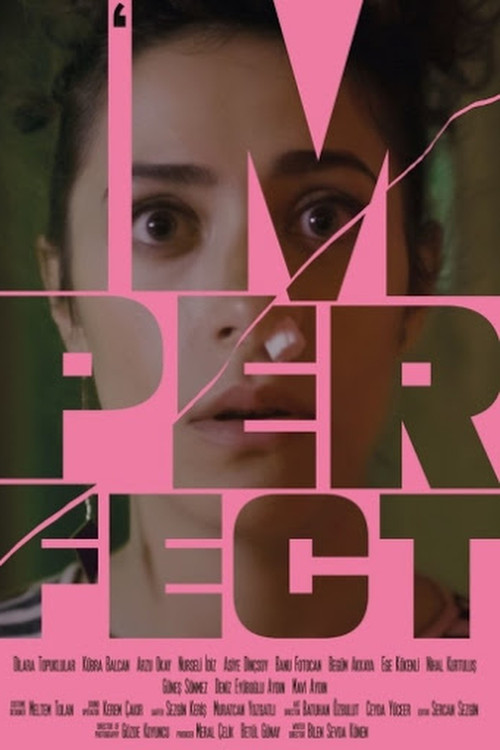 Movie poster for Imperfect (2019)
