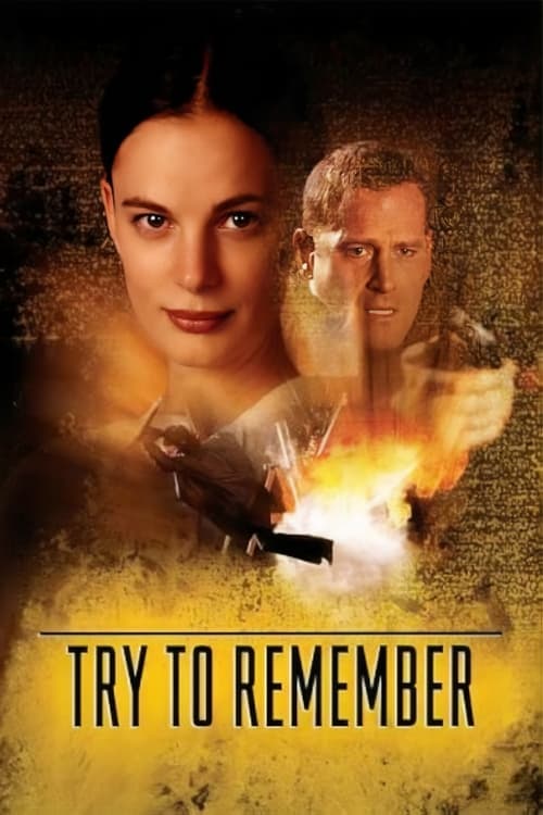 Movie poster for Try to Remember (2004)