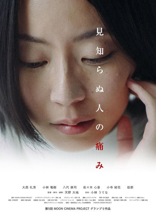 Movie poster for Pain of The Anonymous (2021)