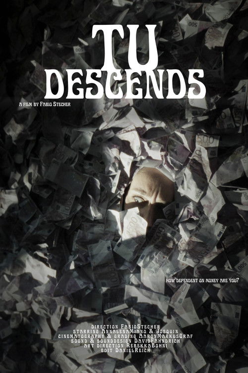 Tu Descends poster