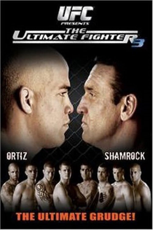 Movie poster for The Ultimate Fighter 3 Finale (2006)