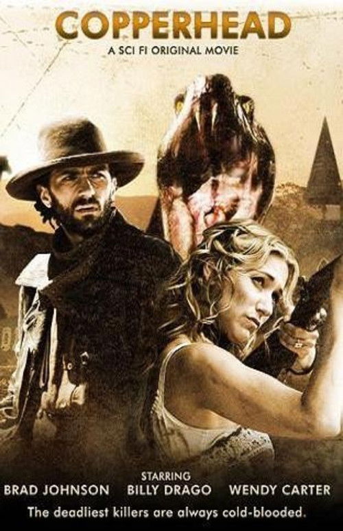 Movie poster for Copperhead (2008)