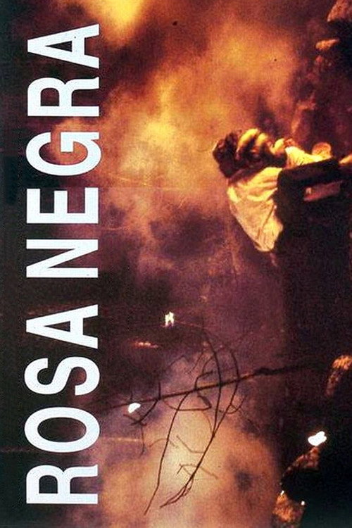 Movie poster for Rosa Negra (1993)