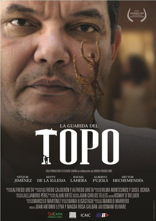 Movie poster for La guarida del topo (2011)