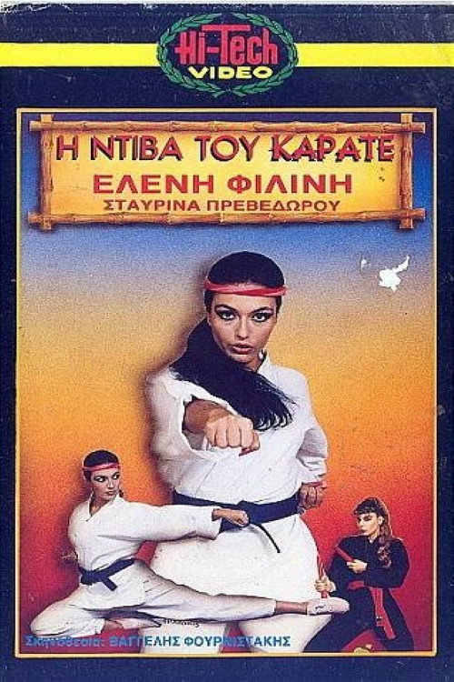 Movie poster for Η ντίβα του καράτε (1987)