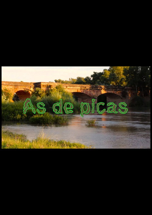 Movie poster for As de Picas (2020)