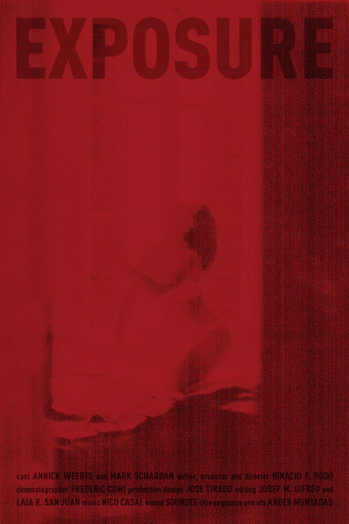Movie poster for Exposure (2015)