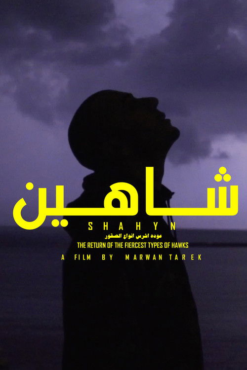 Movie poster for SHAHYN - THE RETURN OF THE FIERCEST TYPES OF HAWKS (2019)