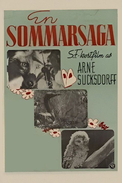 Movie poster for Summer's Tale (1941)