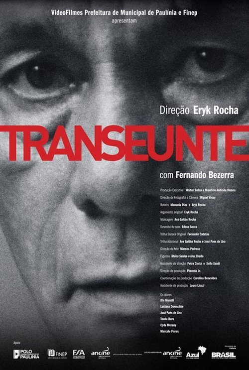 Movie poster for Transeunte (2011)