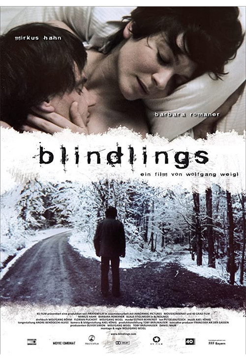 Movie poster for Blind Spot (2009)