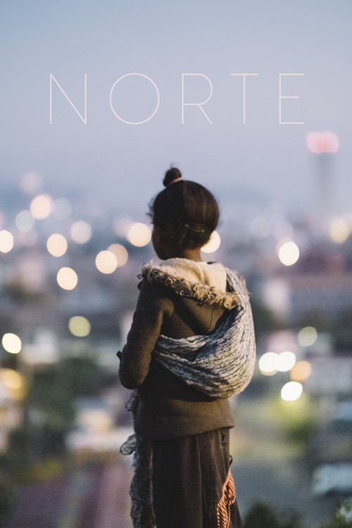 Movie poster for Norte (2020)