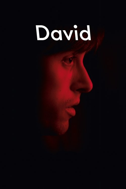 Movie poster for David (2015)
