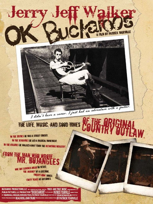 Movie poster for OK Buckaroos (2010)
