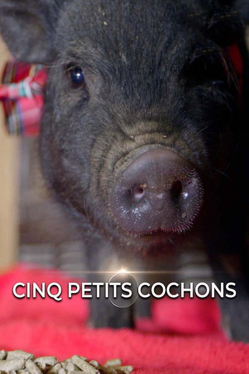 Movie poster for Cinq petits cochons (2016)