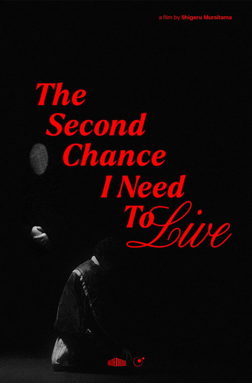 Movie poster for The Second Chance I Need to Live (2025)