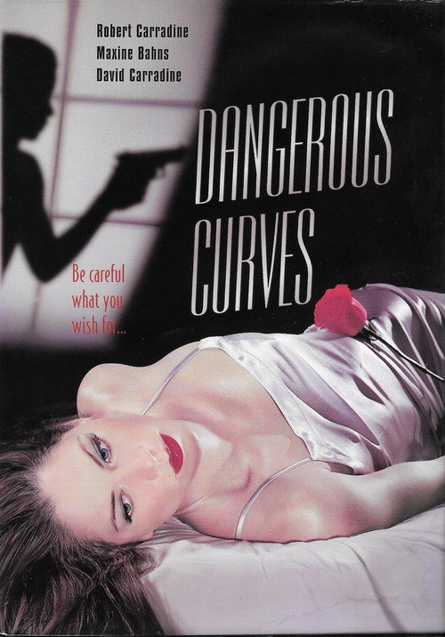 Movie poster for Dangerous Curves (2000)