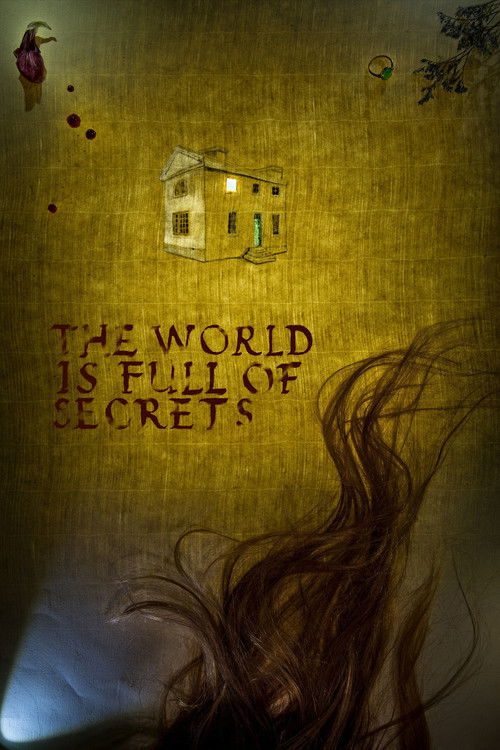 Movie poster for The World Is Full of Secrets (2019)