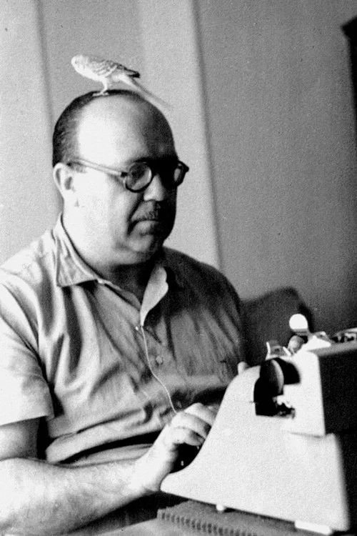Photo of José Mallorquí, Writing