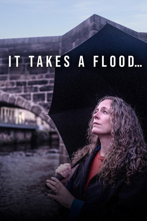 Movie poster for It Takes a Flood (2021)