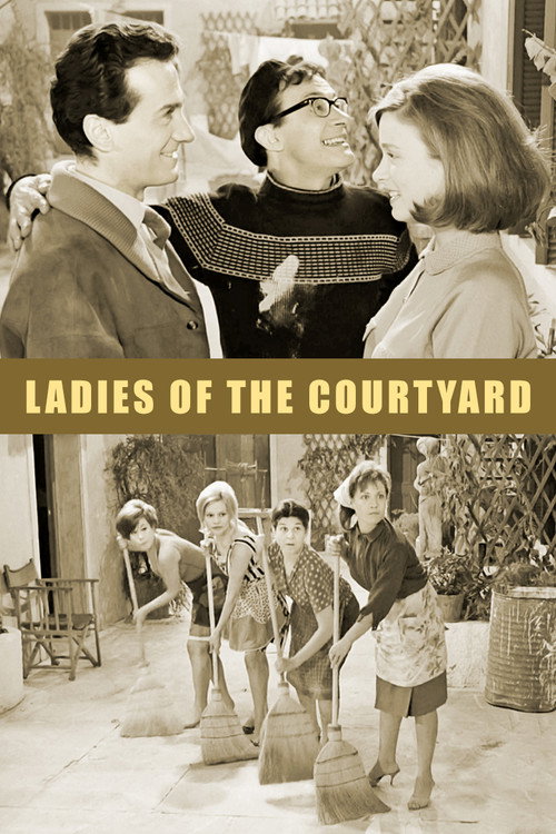 Movie poster for Ladies of the Courtyard (1966)
