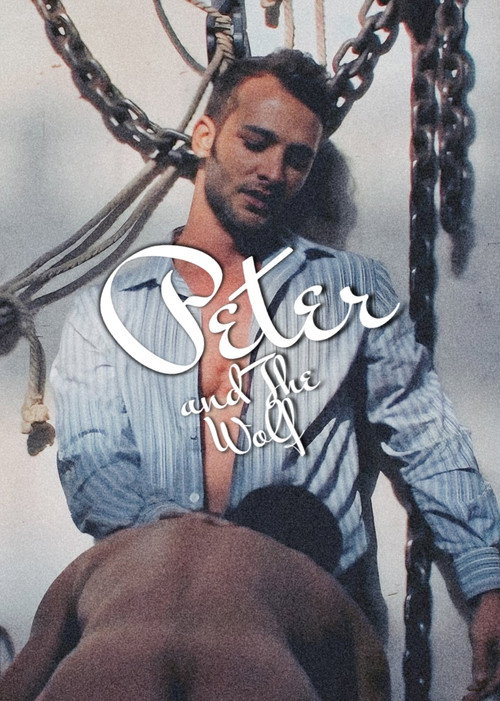 Movie poster for Peter and the Wolf (2013)