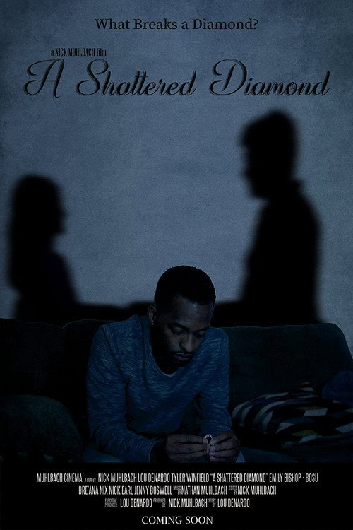 Movie poster for A Shattered Diamond (2021)