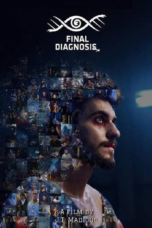Movie poster for Final Diagnosis (2025)