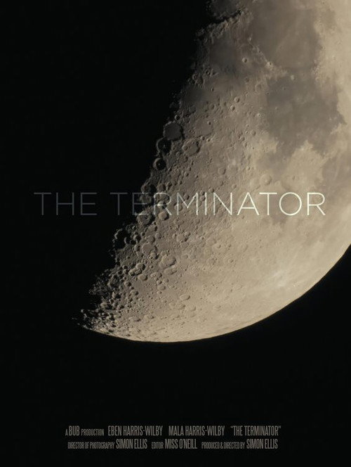 Movie poster for The Terminator (2023)