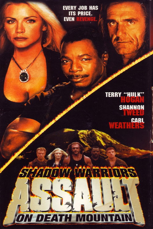 Movie poster for Assault on Death Mountain (1999)