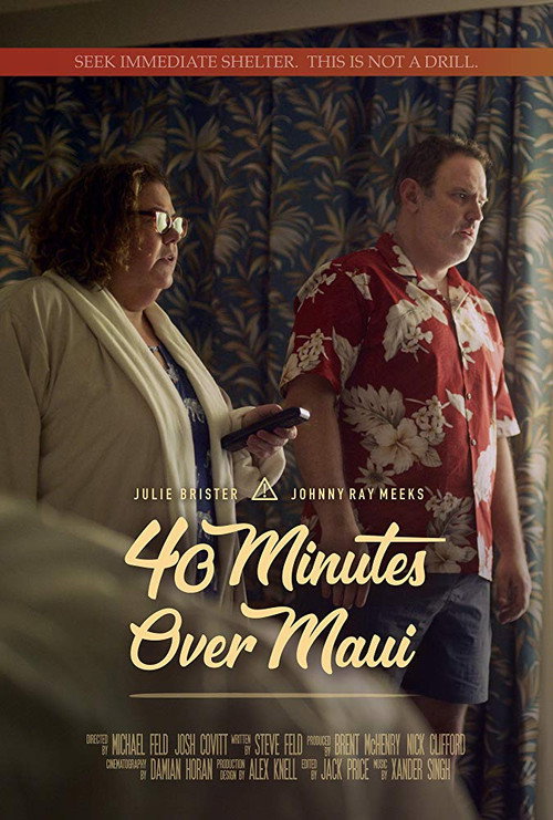 Movie poster for 40 Minutes Over Maui (2019)