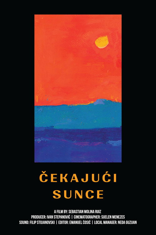 Movie poster for Waiting For The Sun